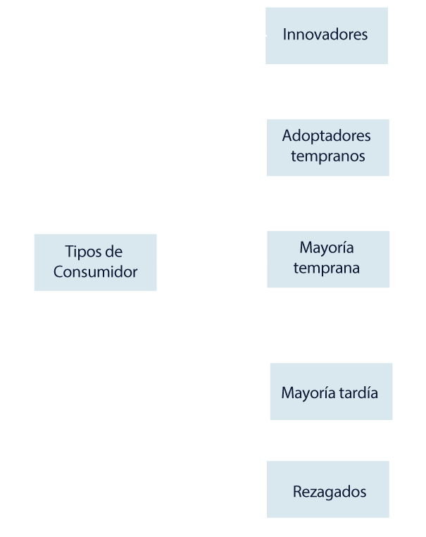 Esquema tipos de consumidor
